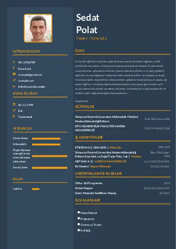 Maden Mühendisi Cv Örnekleri cv indir